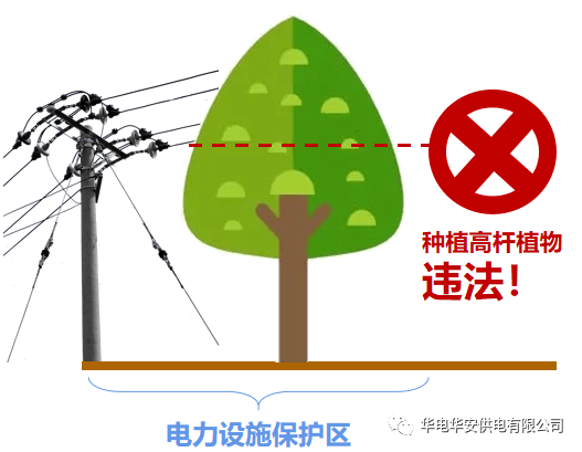 电力设施保护用好这些电力设施保护知识你的权益有“法”可依！(图1)