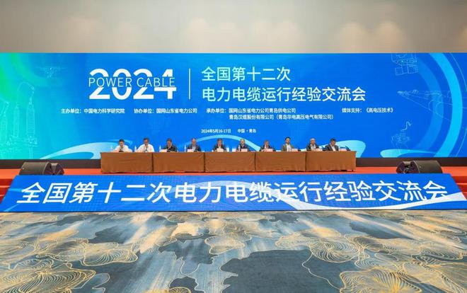 协力推动行业技术进步！全国第十二次电力电缆运行经验交流会在青岛召开(图1)