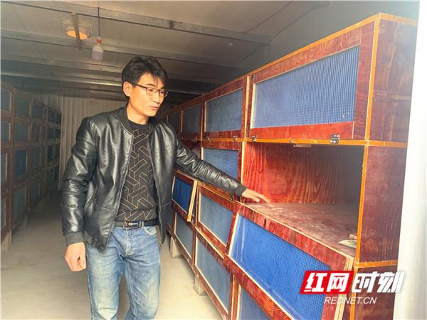 建议落地百姓受益⑥｜城乡电网改造“电”亮美好生活(图1)