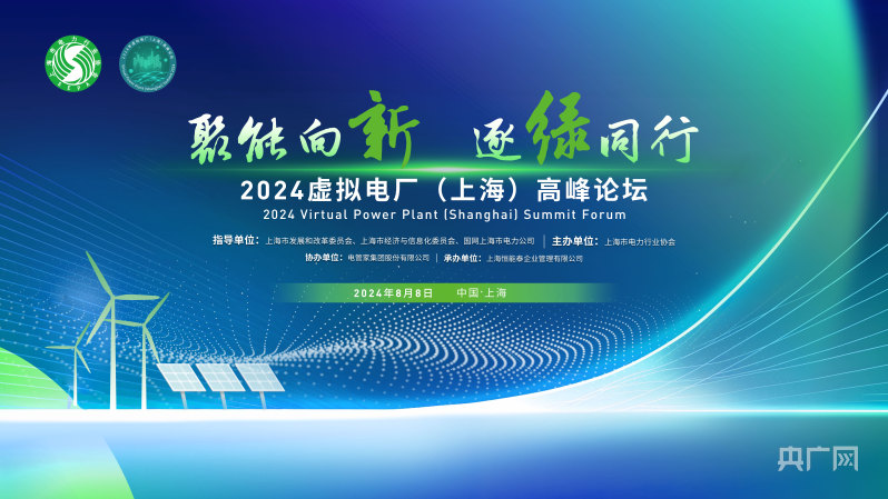 2024虚拟电厂（上海）高峰论坛蓄势待发行业热盼开启绿色发展新篇章(图1)