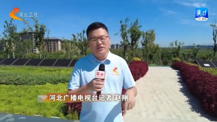 解锁雄安城市新功能②雄安新区：花园下的变电站(图1)