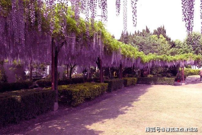 保利建发璟玥府(上海嘉定保利建发璟玥府)售楼处首页网站-楼盘详情(图17)