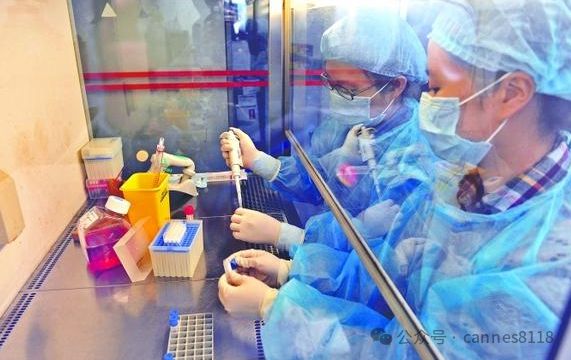 大盘扭转下跌的关键(图5)