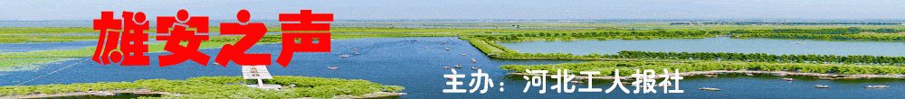 雄安新区110千伏南郑变电站建成投运(图3)