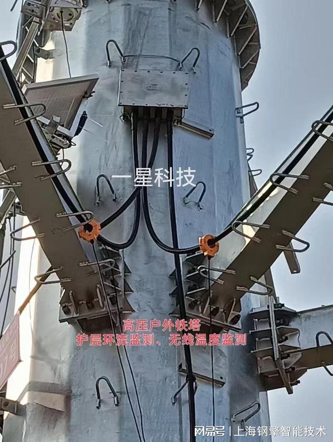 二合一局放传感器(图6)