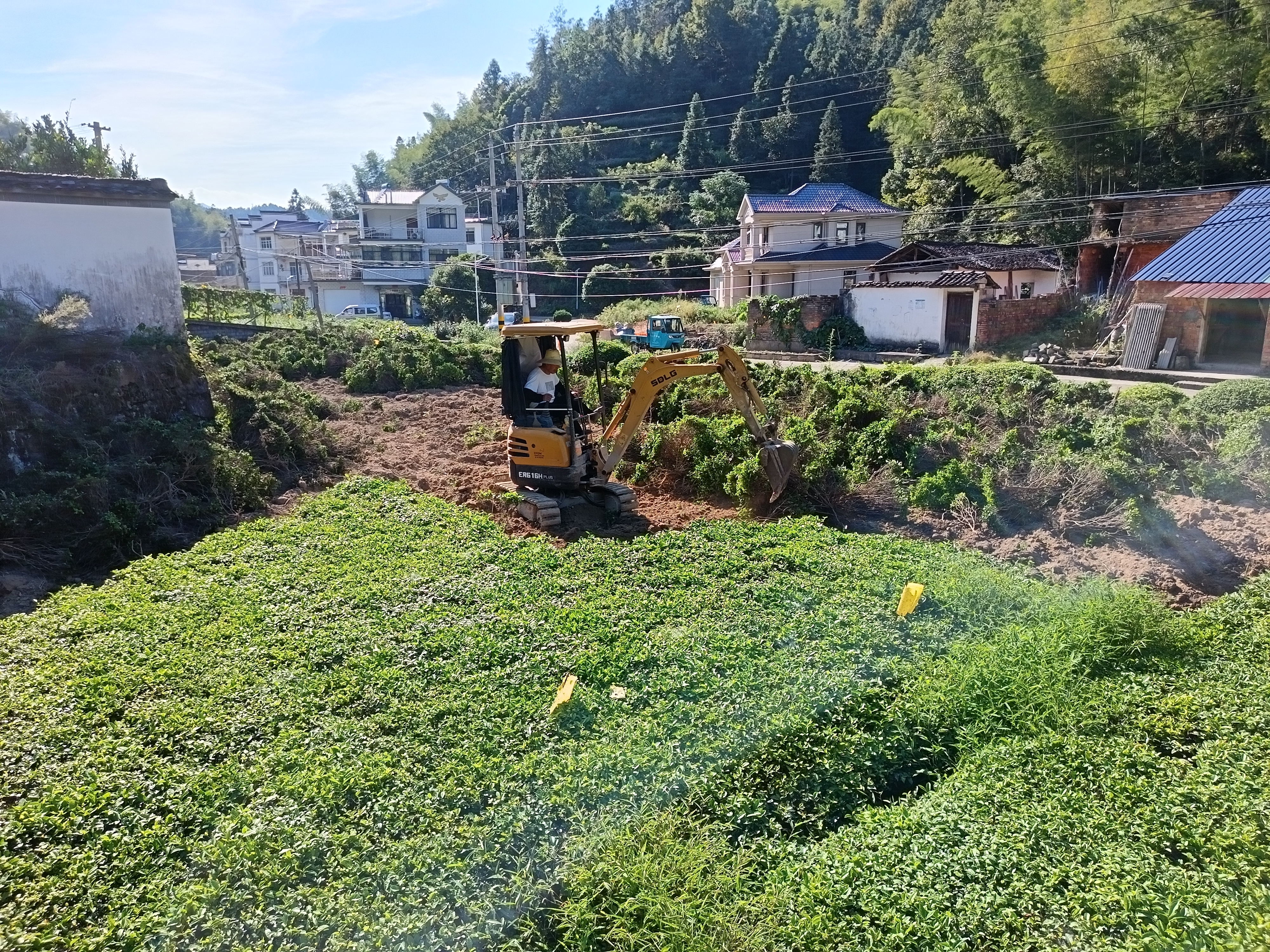 休宁县源芳乡：扎实推进耕地及永久基本农田流出图斑恢复整改工作(图1)