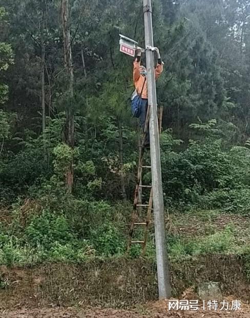 实时监测强力警示！特力康电力设施防破坏声光警示装置登场(图2)