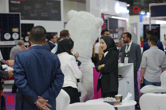 2025年埃及开罗光伏储能展SolarShowMENA2025(图10)