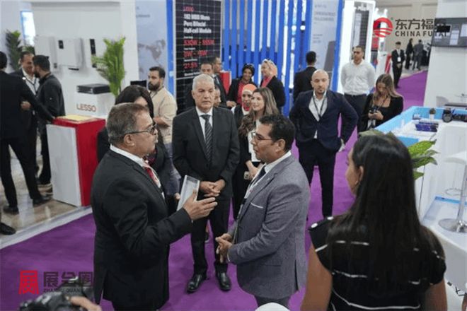 2025年埃及开罗光伏储能展SolarShowMENA2025(图19)