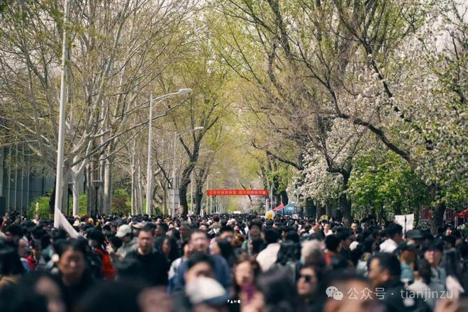 天津预警！11级大风！有极端性！预计时间！天津大学官宣！预约开放！在…(图25)