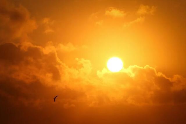高温暴击！西安下周一气温或超40°C！网友：这才5月中旬啊(图2)