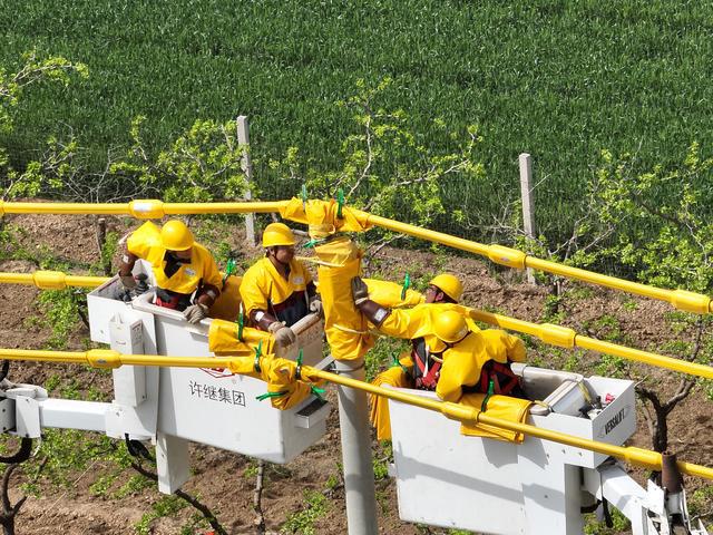国网焦作供电公司：带电作业赋能电网重点工程建设(图2)