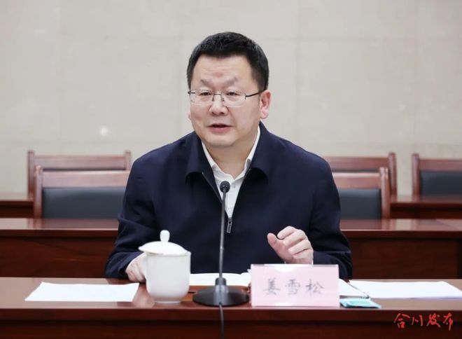 蔚乐车载电子电器系统项目签约仪式在合川举行(图2)