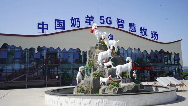 杀菌奶羊酸奶含乳饮料……“阎良造”液态奶上线倒计时(图7)