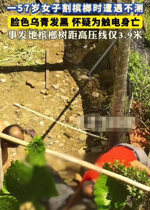 海南突发！一女子割槟榔时遇不测脸发黑家属发声介入(图1)