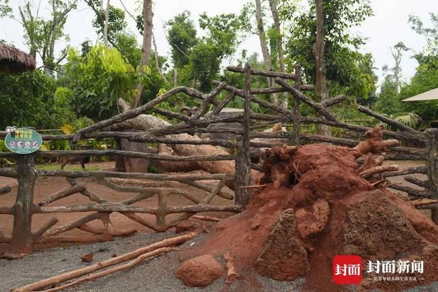 2025年1号台风“蝴蝶”或将于“五一”假期生成！(图4)