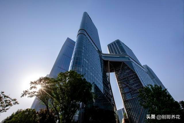 OPPOReno14深度评测：优缺点大揭秘到底值不值得买？(图7)