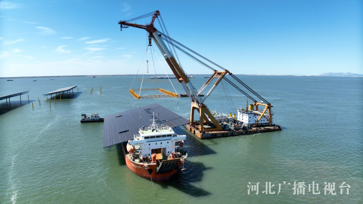 行走渤海湾绿色电能＋蓝色粮仓秦皇岛临港产业书写新答卷(图1)