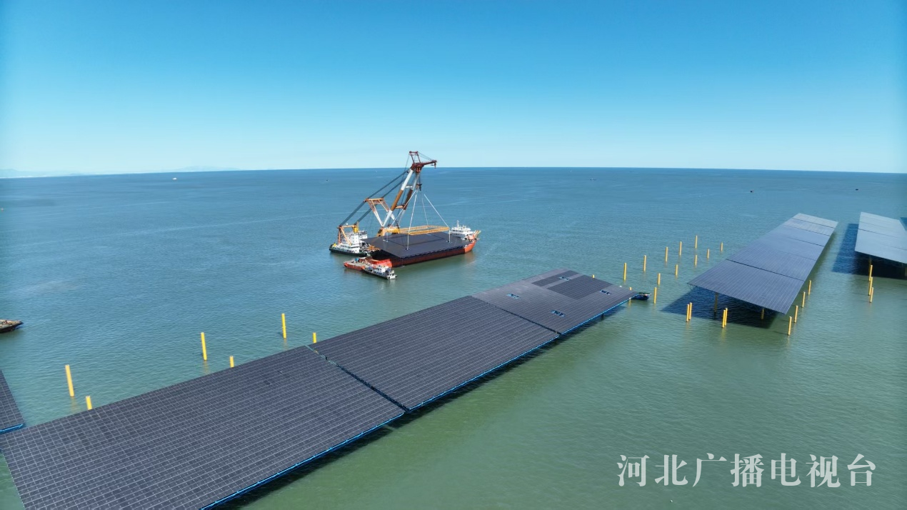 行走渤海湾绿色电能＋蓝色粮仓秦皇岛临港产业书写新答卷(图2)