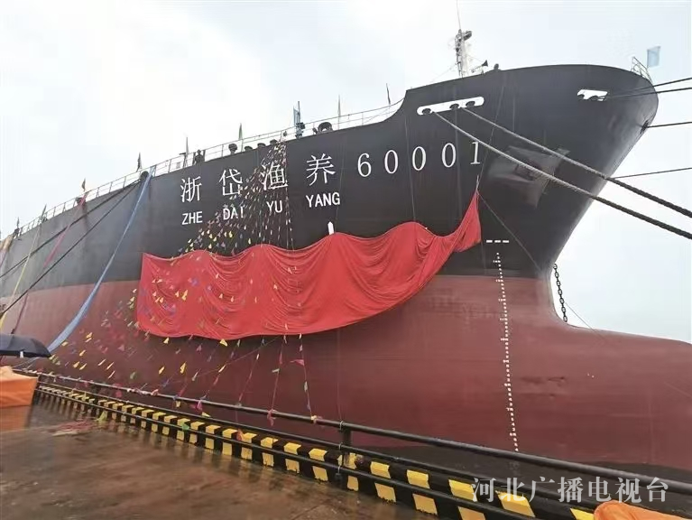 行走渤海湾绿色电能＋蓝色粮仓秦皇岛临港产业书写新答卷(图5)