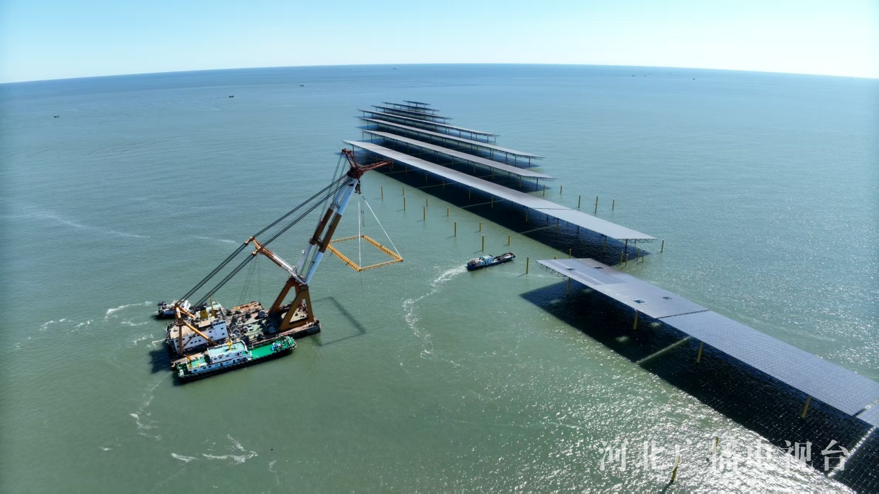 行走渤海湾绿色电能＋蓝色粮仓秦皇岛临港产业书写新答卷(图4)