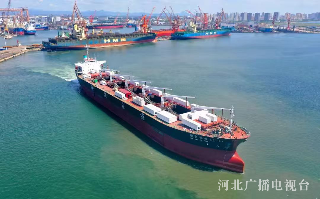 行走渤海湾绿色电能＋蓝色粮仓秦皇岛临港产业书写新答卷(图7)