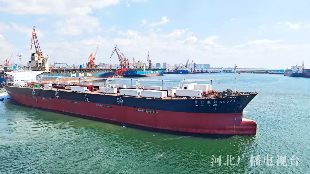 行走渤海湾绿色电能＋蓝色粮仓秦皇岛临港产业书写新答卷(图9)