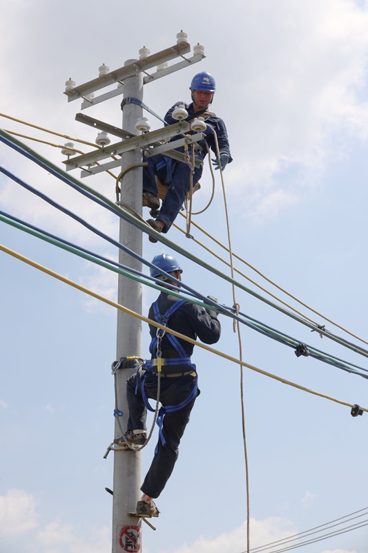 打好抢修复电“游击战”！兴义供电局：助力湛江灾区点亮“万家灯”(图2)