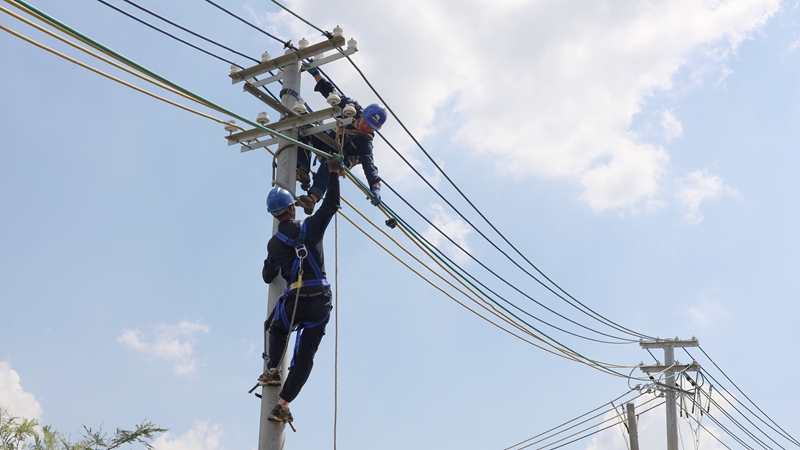 打好抢修复电“游击战”！兴义供电局：助力湛江灾区点亮“万家灯”(图3)
