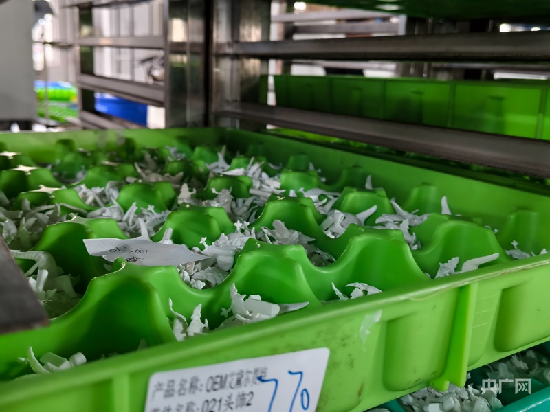 南方电网贵州电网公司“十四五”交出能源惠民答卷(图4)