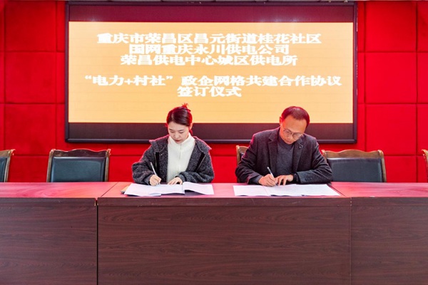 政企联动“电力+村社”织密共治网格(图1)