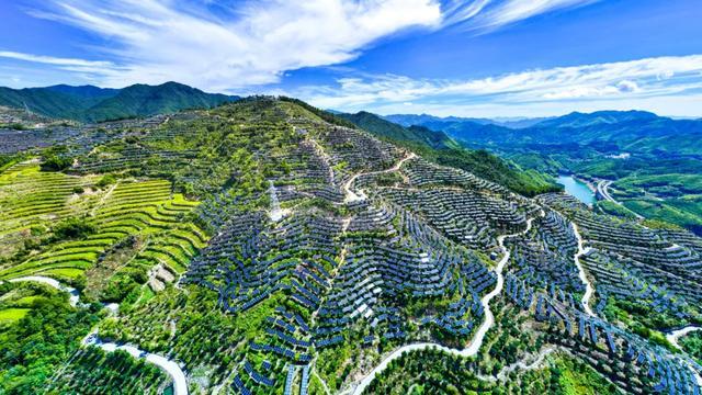 这座宝藏小城要“再造一个三峡”(图8)