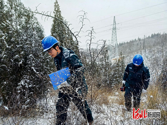 国网石家庄供电公司：全力应对降雪天气保障电力可靠供应(图4)
